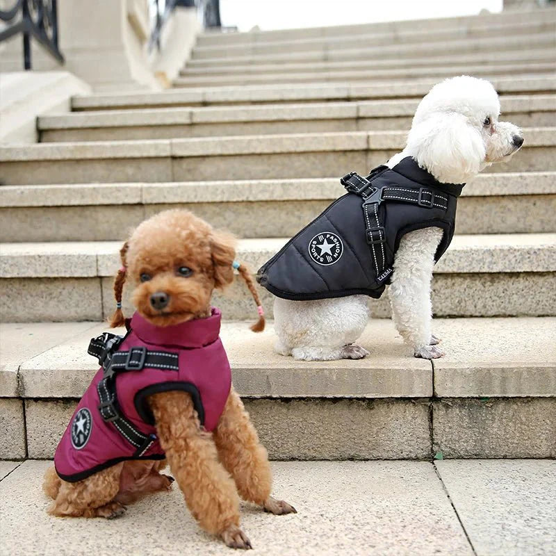 Waterproof Warm Dog Jacket Vest with Harness